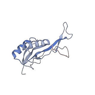 16057_8bhj_J_v1-0
Elongating E. coli 70S ribosome containing deacylated tRNA(iMet) in the P-site and Am6AA mRNA codon with cognate dipeptidyl-tRNA(Lys) in the A-site