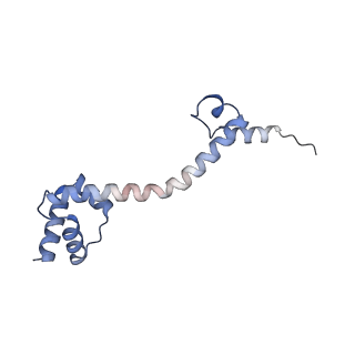 16057_8bhj_N_v1-0
Elongating E. coli 70S ribosome containing deacylated tRNA(iMet) in the P-site and Am6AA mRNA codon with cognate dipeptidyl-tRNA(Lys) in the A-site