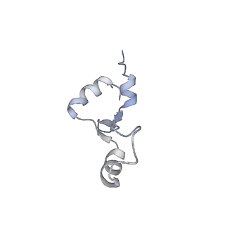 16057_8bhj_d_v1-0
Elongating E. coli 70S ribosome containing deacylated tRNA(iMet) in the P-site and Am6AA mRNA codon with cognate dipeptidyl-tRNA(Lys) in the A-site