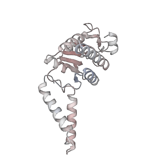 16057_8bhj_f_v1-0
Elongating E. coli 70S ribosome containing deacylated tRNA(iMet) in the P-site and Am6AA mRNA codon with cognate dipeptidyl-tRNA(Lys) in the A-site