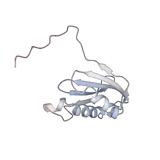 16057_8bhj_o_v1-0
Elongating E. coli 70S ribosome containing deacylated tRNA(iMet) in the P-site and Am6AA mRNA codon with cognate dipeptidyl-tRNA(Lys) in the A-site