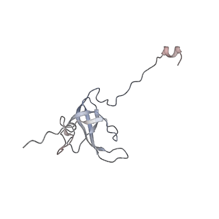 16057_8bhj_p_v1-0
Elongating E. coli 70S ribosome containing deacylated tRNA(iMet) in the P-site and Am6AA mRNA codon with cognate dipeptidyl-tRNA(Lys) in the A-site