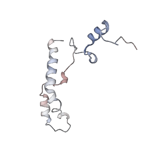 16057_8bhj_r_v1-0
Elongating E. coli 70S ribosome containing deacylated tRNA(iMet) in the P-site and Am6AA mRNA codon with cognate dipeptidyl-tRNA(Lys) in the A-site