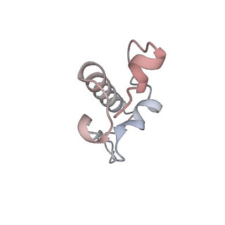 16057_8bhj_v_v1-0
Elongating E. coli 70S ribosome containing deacylated tRNA(iMet) in the P-site and Am6AA mRNA codon with cognate dipeptidyl-tRNA(Lys) in the A-site