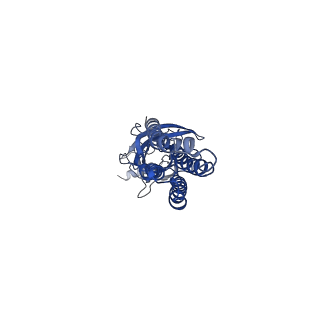 16058_8bhk_A_v1-3
GABA-A receptor a5 homomer - a5V3 - Diazepam