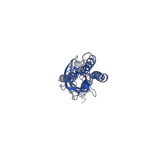16058_8bhk_B_v1-3
GABA-A receptor a5 homomer - a5V3 - Diazepam