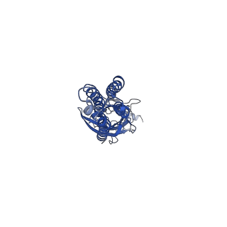 16058_8bhk_C_v1-3
GABA-A receptor a5 homomer - a5V3 - Diazepam