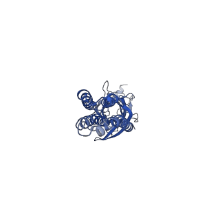 16058_8bhk_D_v1-3
GABA-A receptor a5 homomer - a5V3 - Diazepam