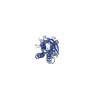 16058_8bhk_E_v1-3
GABA-A receptor a5 homomer - a5V3 - Diazepam