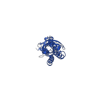 16060_8bhm_A_v1-3
GABA-A receptor a5 homomer - a5V3 - DMCM