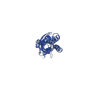 16060_8bhm_B_v1-3
GABA-A receptor a5 homomer - a5V3 - DMCM