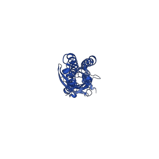 16060_8bhm_C_v1-3
GABA-A receptor a5 homomer - a5V3 - DMCM