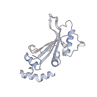 16062_8bhn_D_v1-0
Elongating E. coli 70S ribosome containing deacylated tRNA(iMet) in the P-site and m6AAA mRNA codon with cognate dipeptidyl-tRNA(Lys) in the A-site