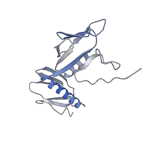 16062_8bhn_E_v1-0
Elongating E. coli 70S ribosome containing deacylated tRNA(iMet) in the P-site and m6AAA mRNA codon with cognate dipeptidyl-tRNA(Lys) in the A-site
