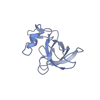 16062_8bhn_H_v1-0
Elongating E. coli 70S ribosome containing deacylated tRNA(iMet) in the P-site and m6AAA mRNA codon with cognate dipeptidyl-tRNA(Lys) in the A-site