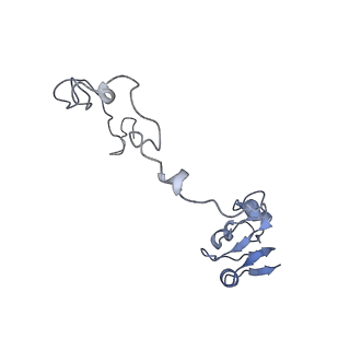 16062_8bhn_I_v1-0
Elongating E. coli 70S ribosome containing deacylated tRNA(iMet) in the P-site and m6AAA mRNA codon with cognate dipeptidyl-tRNA(Lys) in the A-site