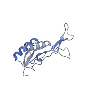 16062_8bhn_J_v1-0
Elongating E. coli 70S ribosome containing deacylated tRNA(iMet) in the P-site and m6AAA mRNA codon with cognate dipeptidyl-tRNA(Lys) in the A-site