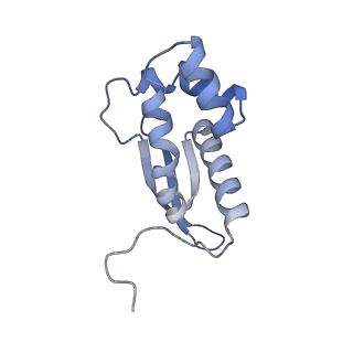 16062_8bhn_K_v1-0
Elongating E. coli 70S ribosome containing deacylated tRNA(iMet) in the P-site and m6AAA mRNA codon with cognate dipeptidyl-tRNA(Lys) in the A-site