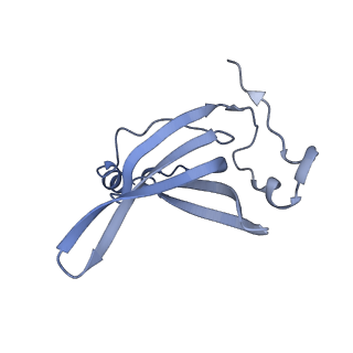 16062_8bhn_M_v1-0
Elongating E. coli 70S ribosome containing deacylated tRNA(iMet) in the P-site and m6AAA mRNA codon with cognate dipeptidyl-tRNA(Lys) in the A-site