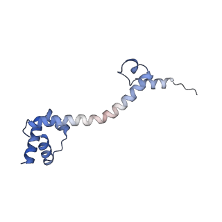 16062_8bhn_N_v1-0
Elongating E. coli 70S ribosome containing deacylated tRNA(iMet) in the P-site and m6AAA mRNA codon with cognate dipeptidyl-tRNA(Lys) in the A-site