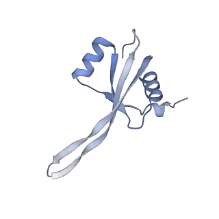 16062_8bhn_Q_v1-0
Elongating E. coli 70S ribosome containing deacylated tRNA(iMet) in the P-site and m6AAA mRNA codon with cognate dipeptidyl-tRNA(Lys) in the A-site