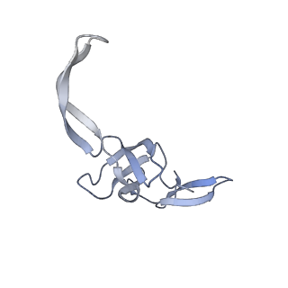 16062_8bhn_R_v1-0
Elongating E. coli 70S ribosome containing deacylated tRNA(iMet) in the P-site and m6AAA mRNA codon with cognate dipeptidyl-tRNA(Lys) in the A-site