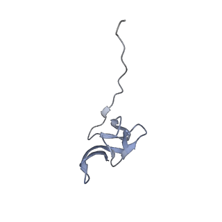 16062_8bhn_T_v1-0
Elongating E. coli 70S ribosome containing deacylated tRNA(iMet) in the P-site and m6AAA mRNA codon with cognate dipeptidyl-tRNA(Lys) in the A-site