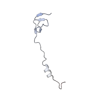 16062_8bhn_a_v1-0
Elongating E. coli 70S ribosome containing deacylated tRNA(iMet) in the P-site and m6AAA mRNA codon with cognate dipeptidyl-tRNA(Lys) in the A-site