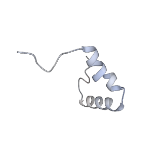 16062_8bhn_c_v1-0
Elongating E. coli 70S ribosome containing deacylated tRNA(iMet) in the P-site and m6AAA mRNA codon with cognate dipeptidyl-tRNA(Lys) in the A-site