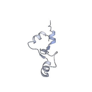 16062_8bhn_d_v1-0
Elongating E. coli 70S ribosome containing deacylated tRNA(iMet) in the P-site and m6AAA mRNA codon with cognate dipeptidyl-tRNA(Lys) in the A-site