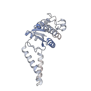 16062_8bhn_f_v1-0
Elongating E. coli 70S ribosome containing deacylated tRNA(iMet) in the P-site and m6AAA mRNA codon with cognate dipeptidyl-tRNA(Lys) in the A-site