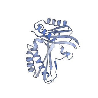 16062_8bhn_g_v1-0
Elongating E. coli 70S ribosome containing deacylated tRNA(iMet) in the P-site and m6AAA mRNA codon with cognate dipeptidyl-tRNA(Lys) in the A-site