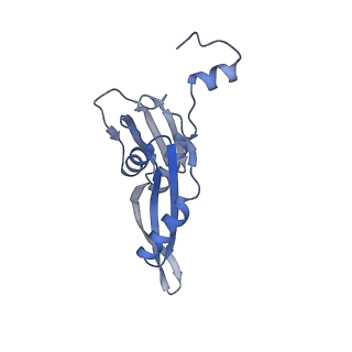 16062_8bhn_i_v1-0
Elongating E. coli 70S ribosome containing deacylated tRNA(iMet) in the P-site and m6AAA mRNA codon with cognate dipeptidyl-tRNA(Lys) in the A-site