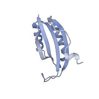 16062_8bhn_j_v1-0
Elongating E. coli 70S ribosome containing deacylated tRNA(iMet) in the P-site and m6AAA mRNA codon with cognate dipeptidyl-tRNA(Lys) in the A-site