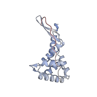 16062_8bhn_k_v1-0
Elongating E. coli 70S ribosome containing deacylated tRNA(iMet) in the P-site and m6AAA mRNA codon with cognate dipeptidyl-tRNA(Lys) in the A-site