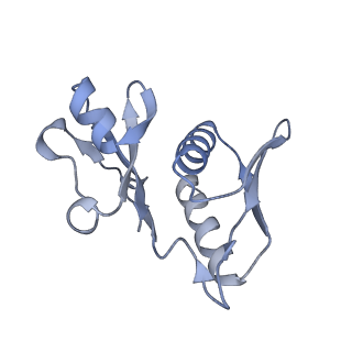16062_8bhn_l_v1-0
Elongating E. coli 70S ribosome containing deacylated tRNA(iMet) in the P-site and m6AAA mRNA codon with cognate dipeptidyl-tRNA(Lys) in the A-site