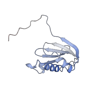 16062_8bhn_o_v1-0
Elongating E. coli 70S ribosome containing deacylated tRNA(iMet) in the P-site and m6AAA mRNA codon with cognate dipeptidyl-tRNA(Lys) in the A-site