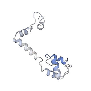 16062_8bhn_q_v1-0
Elongating E. coli 70S ribosome containing deacylated tRNA(iMet) in the P-site and m6AAA mRNA codon with cognate dipeptidyl-tRNA(Lys) in the A-site