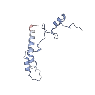 16062_8bhn_r_v1-0
Elongating E. coli 70S ribosome containing deacylated tRNA(iMet) in the P-site and m6AAA mRNA codon with cognate dipeptidyl-tRNA(Lys) in the A-site