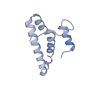 16062_8bhn_s_v1-0
Elongating E. coli 70S ribosome containing deacylated tRNA(iMet) in the P-site and m6AAA mRNA codon with cognate dipeptidyl-tRNA(Lys) in the A-site