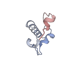 16062_8bhn_v_v1-0
Elongating E. coli 70S ribosome containing deacylated tRNA(iMet) in the P-site and m6AAA mRNA codon with cognate dipeptidyl-tRNA(Lys) in the A-site