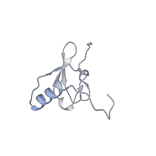 16062_8bhn_w_v1-0
Elongating E. coli 70S ribosome containing deacylated tRNA(iMet) in the P-site and m6AAA mRNA codon with cognate dipeptidyl-tRNA(Lys) in the A-site