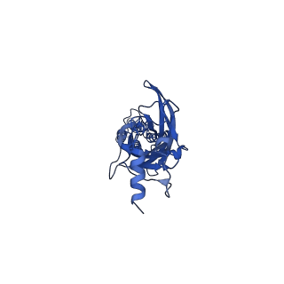 16063_8bho_A_v1-3
GABA-A receptor a5 homomer - a5V3 - L655708