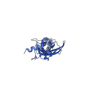 16063_8bho_B_v1-3
GABA-A receptor a5 homomer - a5V3 - L655708