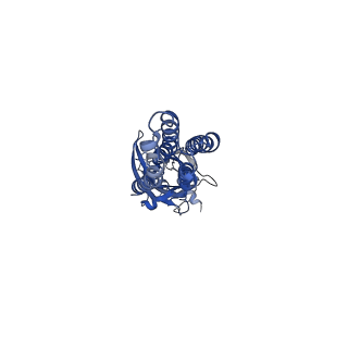 16066_8bhq_B_v1-3
GABA-A receptor a5 homomer - a5V3 - RO7172670