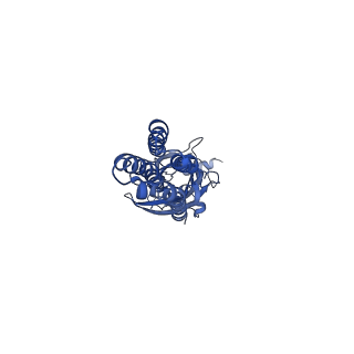 16066_8bhq_C_v1-3
GABA-A receptor a5 homomer - a5V3 - RO7172670