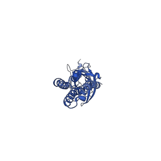 16066_8bhq_D_v1-3
GABA-A receptor a5 homomer - a5V3 - RO7172670