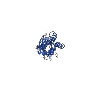16067_8bhr_B_v1-3
GABA-A receptor a5 homomer - a5V3 - RO7015738