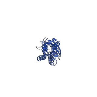 16067_8bhr_E_v1-3
GABA-A receptor a5 homomer - a5V3 - RO7015738