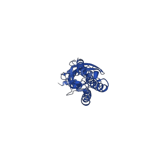 16068_8bhs_A_v1-3
GABA-A receptor a5 homomer - a5V3 - RO4938581